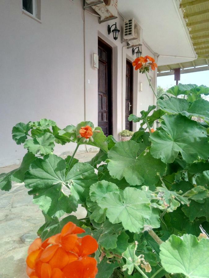 Ferienwohnung Εmmi Koutsounári Exterior foto